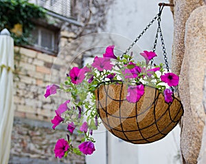 Hanging flowers basket