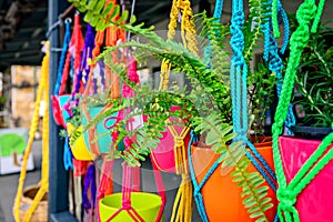 Hanging flowers in colorful pots