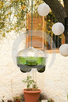 Hanging garden trap for wasps, hornets and flies