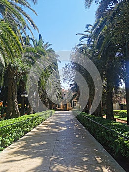 Hanging Gardens of Haifa (BahÃ¡âÃ­ GÃ¤rten) photo