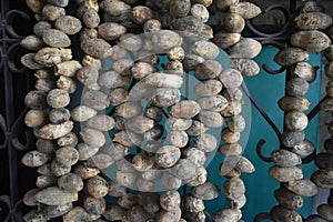 Hanging garland of dry betelnut