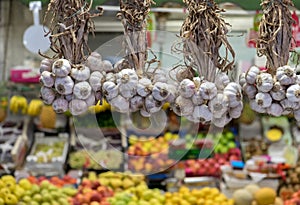 Hanging garlic for sale at Porto market (Mercado do Bolhao