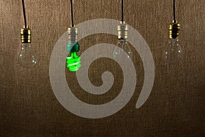 Hanging Green CFL and Incandescent Bulbs
