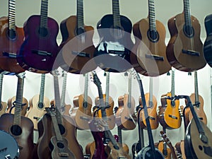 Hanging guitars for sale in music store