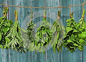 Hanging herbs