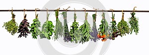 Hanging herbs