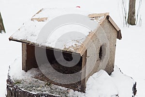 Hanging homemade feeder or platform for feeding birds and squirrels in winter and spring during hungry times. Feeders for birds