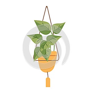 Hanging house plant in pot illustration, hanging plant flat icon vector