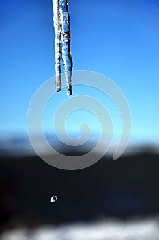 Hanging icicle on a roof