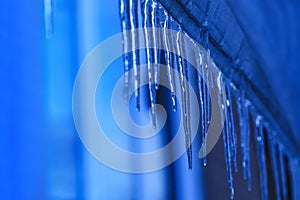 Hanging icicle during the spring time. Melting icicles with crystal texture on winter background. Water drops falling from