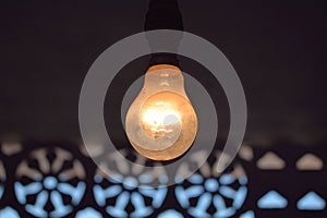 Hanging incandescent light bulb