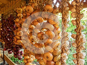 Hanging knitted onions and garlic