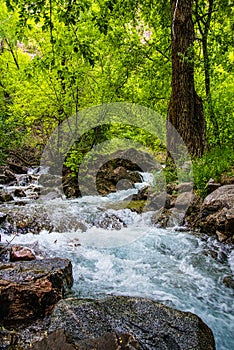 Hanging Lake Stream in Colorado