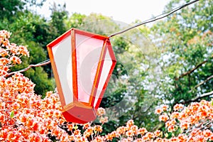 Hanging lantern with spring flowers at Kochi Castle park in Kochi, Shikoku, Japan