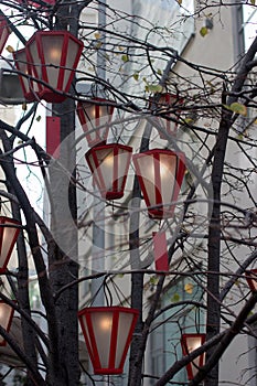 hanging lanterns on trees.