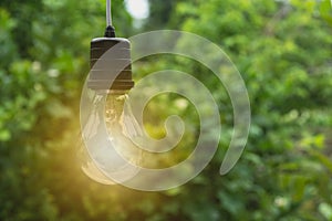 Hanging light bulbs with glowing one. Idea and creativity concept