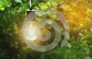 Hanging light bulbs with glowing one. Idea and creativity