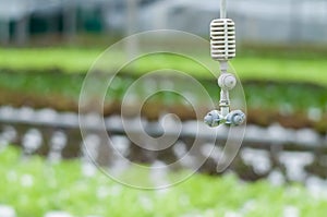 Hanging mist emitter above hydroponics plants