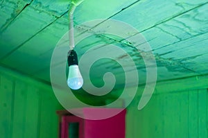 Hanging modern light bulb with green wooden planks