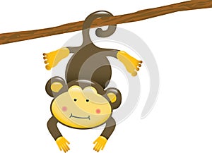 Hanging Monkey