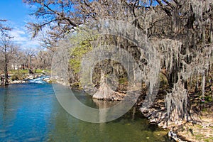 Hanging moss looks beautiful but are chocking the trees