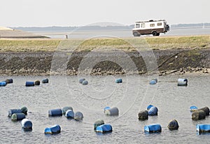 hanging mussel cultivation at Eastern Scheldt