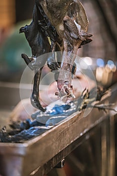 Hanging Naturally Dried Chicken Preservation