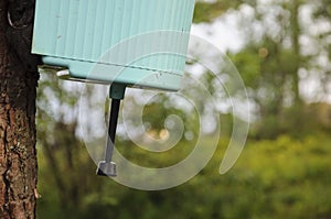 Hanging old washstand on a tree in the camp