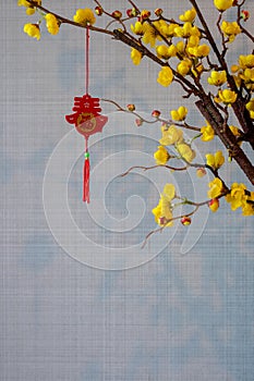 A hanging pendant (word mean blessing) at yellow chinese blossom tree on wall