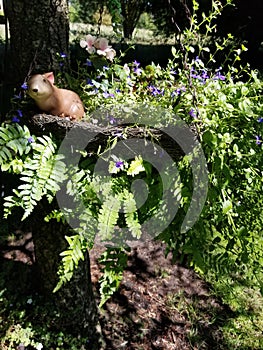 Hanging Plant with Bunny