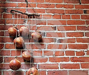 Hanging Planter of Gourds Against a Red Brick Wall