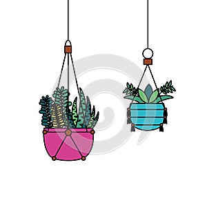 Hanging plants inside pots vector design