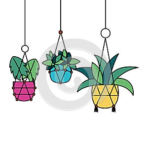 Hanging plants inside pots vector design