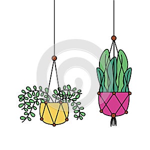 Hanging plants inside pots vector design