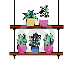 Hanging plants inside pots vector design