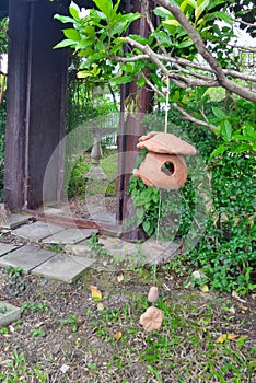 Hanging potery mobile on the tree in thr garden