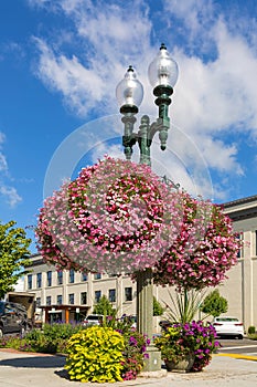 Hanging and Potted Plants in Lynden Washington USA