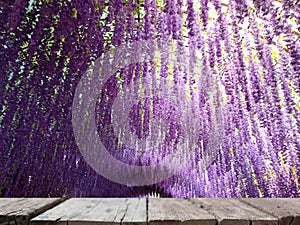 Hanging purple flower tunnel with wooden table for display product