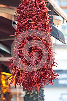 Hanging red chilly peppers on market street at Grand Bazaar in Turkey, Istanbul.