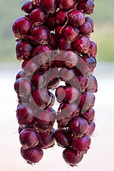 Hanging Red Onions