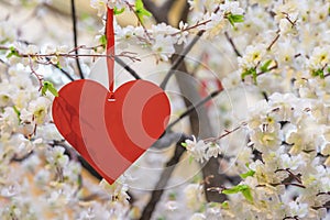 Hanging on ribbon symbolic decorative heart on flowering trees. Concept of Valentines day, Spring, Love