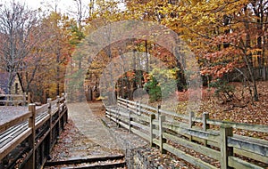 Hanging Rock State Park