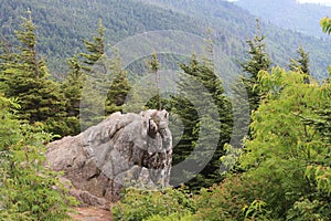 Hanging Rock State Park View