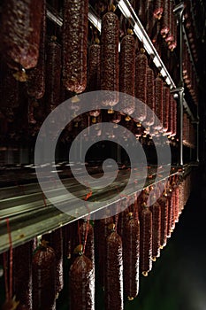 Hanging sausages in the fridge