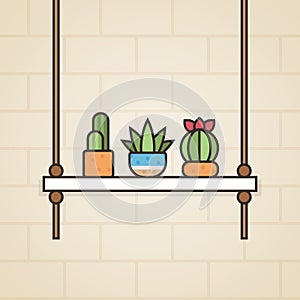 Hanging shelf cactus