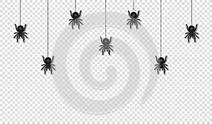 Hanging spiders for Halloween decoration. Scary and creepy Halloween background. Scary spiders hanging on spider web, transparent