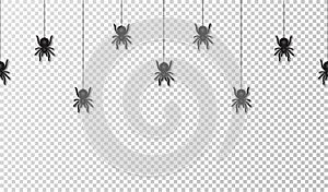 Hanging spiders for Halloween decoration, seamless pattern. Scary spiders hanging on cobweb, transparent background