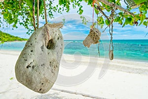 Hanging stone at Koh Kham beach, Chonburi, Thailand