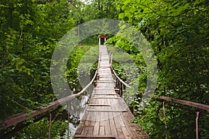 Hanging or suspension bridge in the forest.