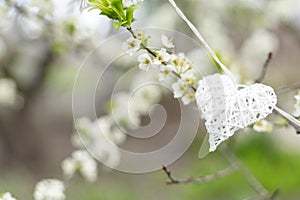 Hanging on symbolic decorative heart on flowering trees. Concept of Valentines day, Spring, Love